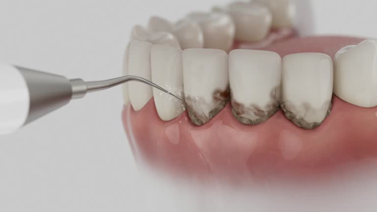 Reliable Dental contractor in Weston, MO by Dentist Open Now